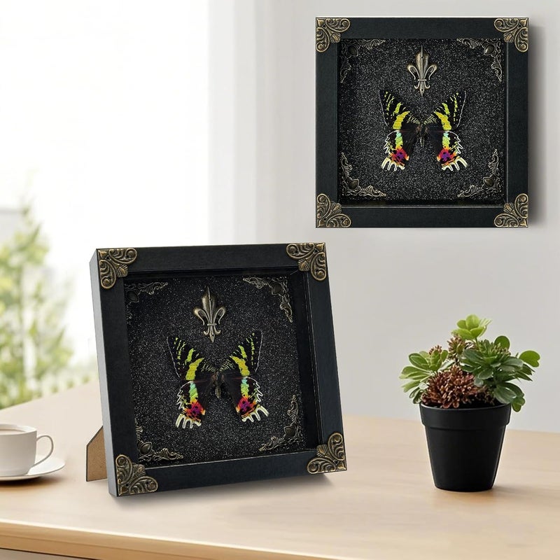 GDBEH Real Butterfly Framed Handmade - Taxidermy Butterfly Shadow Box - Real Framed Butterflies in a Box for Gothic Home Decor Aesthetic. (Moon Moth) - Image 4